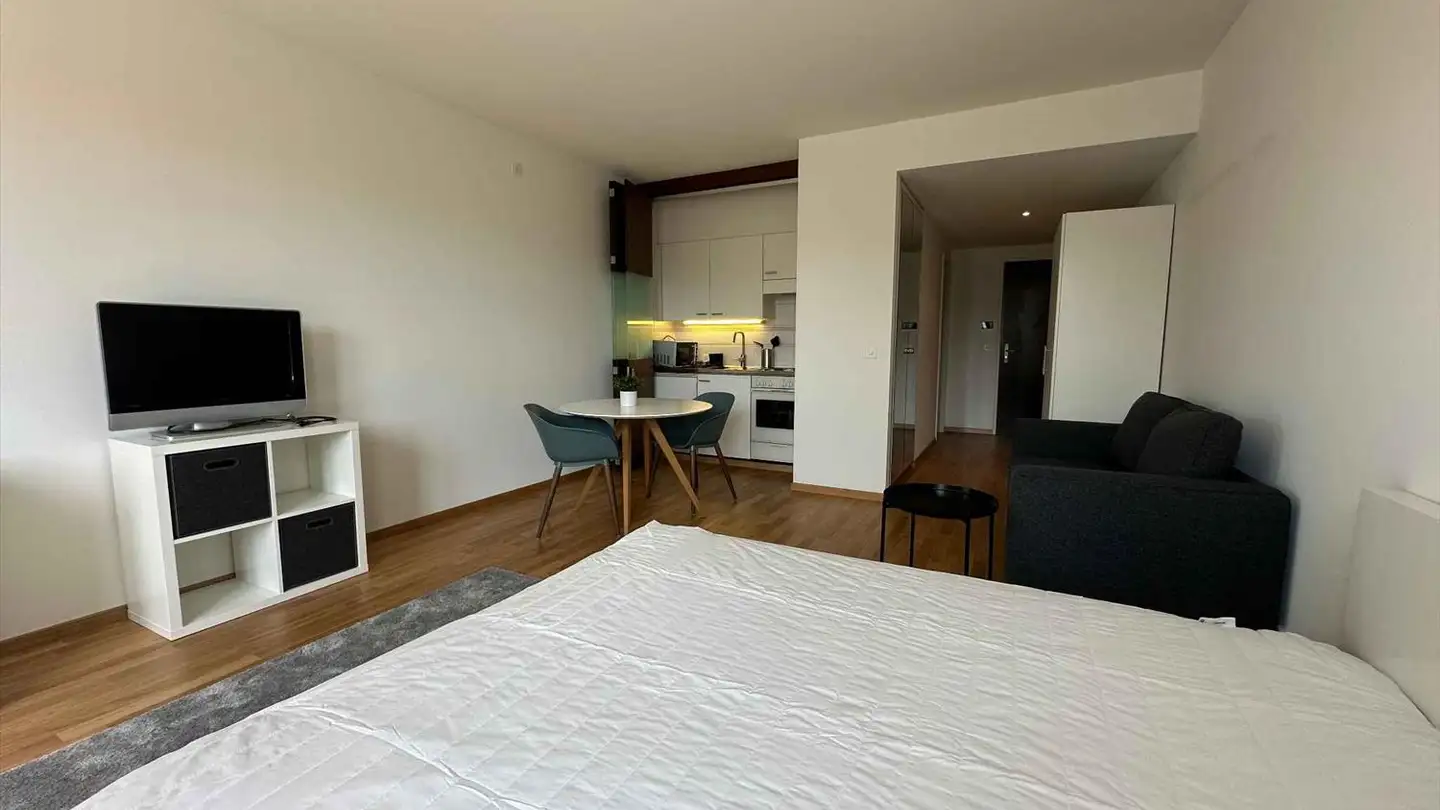 Appartement meublé à louer - Rue Du Commerce 3, 1204 Genève - Photo 3