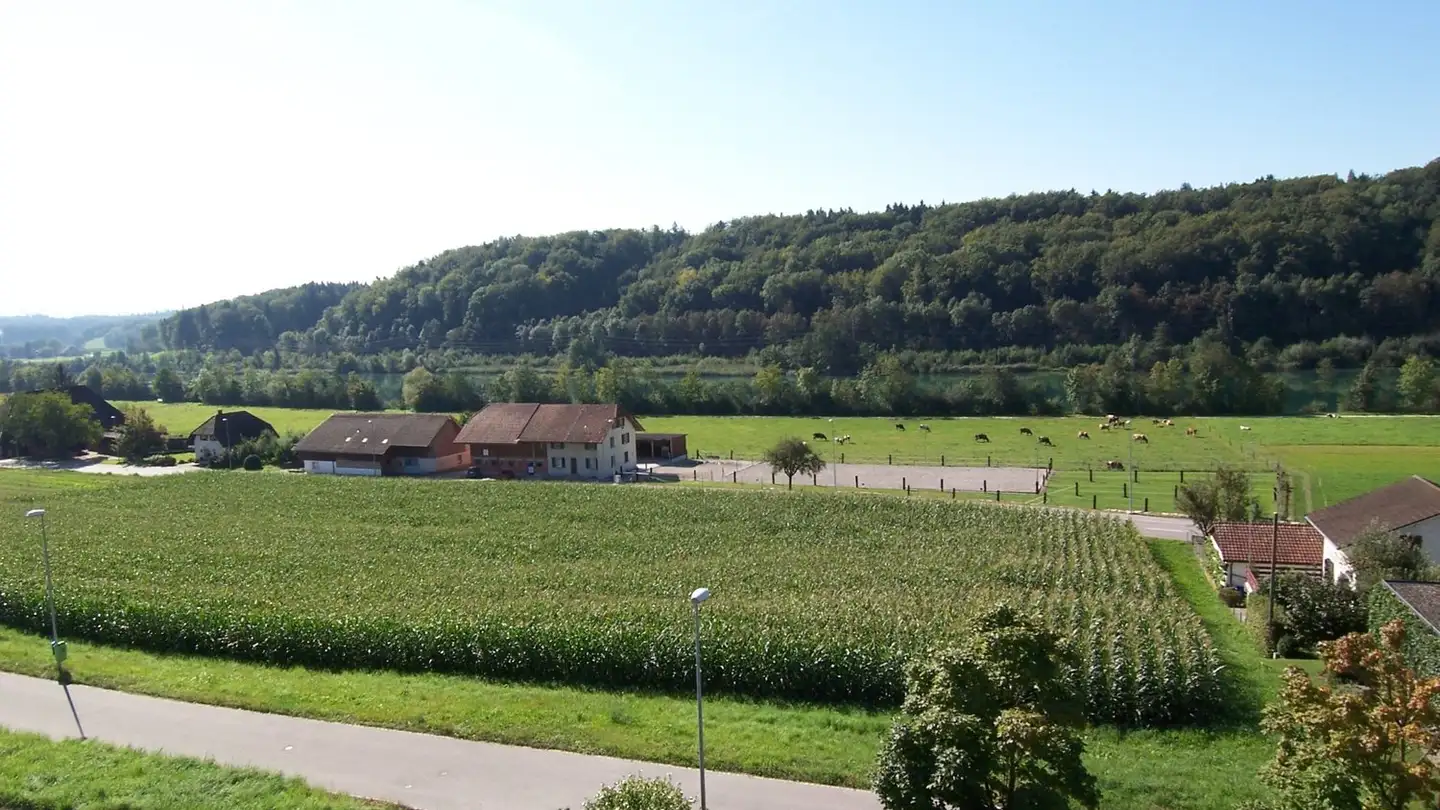 Parcheggio sotterraneo in affitto - Güschelstrasse 1, 3380 Walliswil b. Niederbipp - Foto 3
