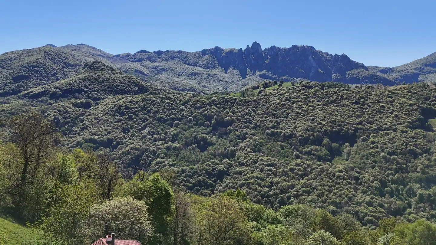 Appartamento in vendita - Bidogno, 6958 Corticiasca - Foto 3