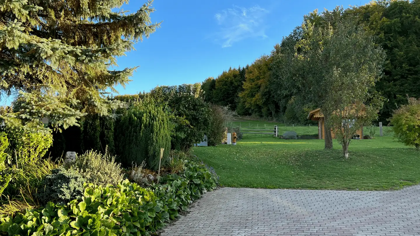 Appartement à louer - Hölzli 5, 3186 Düdingen