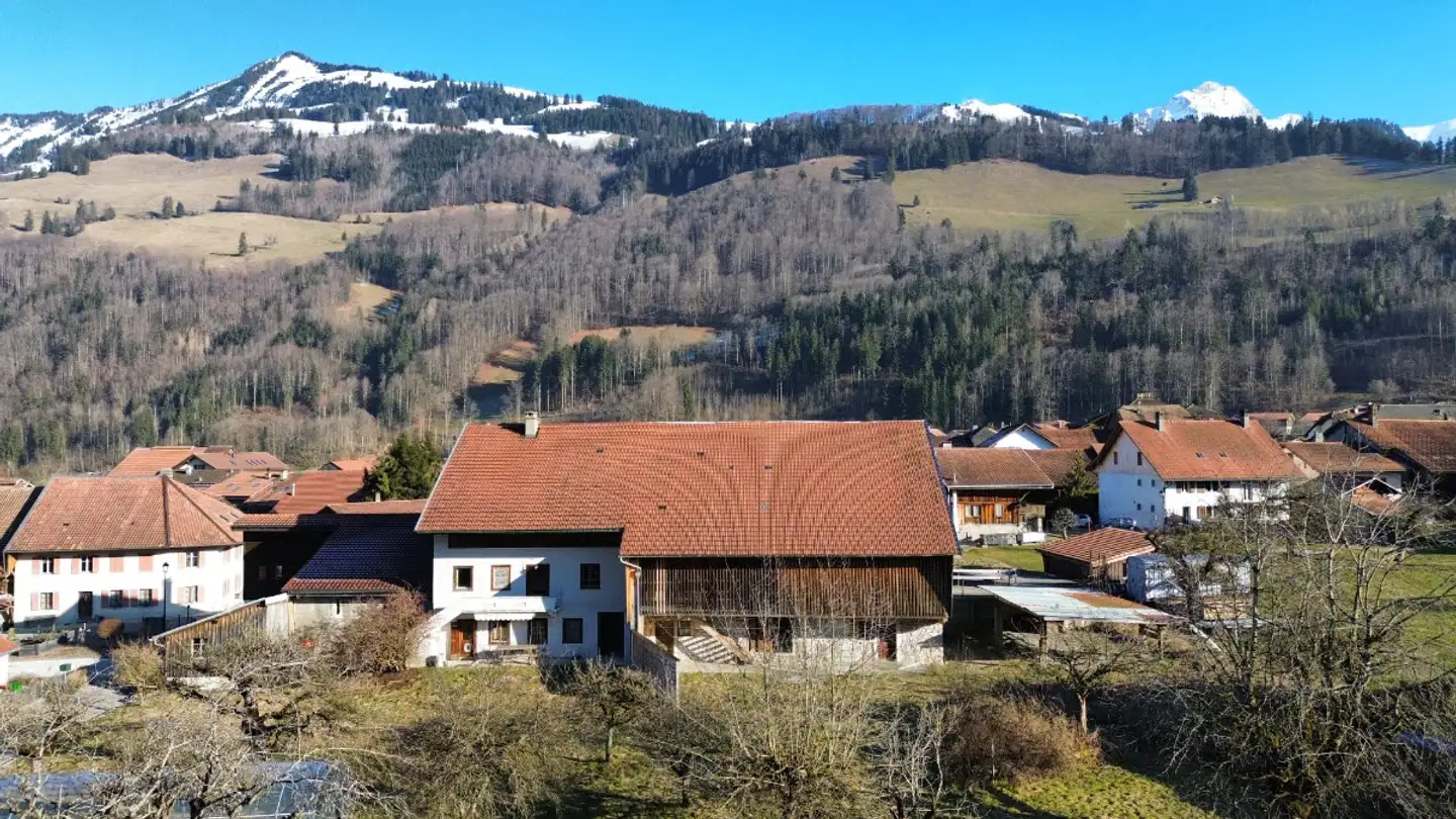 Appartement à vendre - Chemin De La Fruitière 16, 1666 Grandvillard - Photo 2