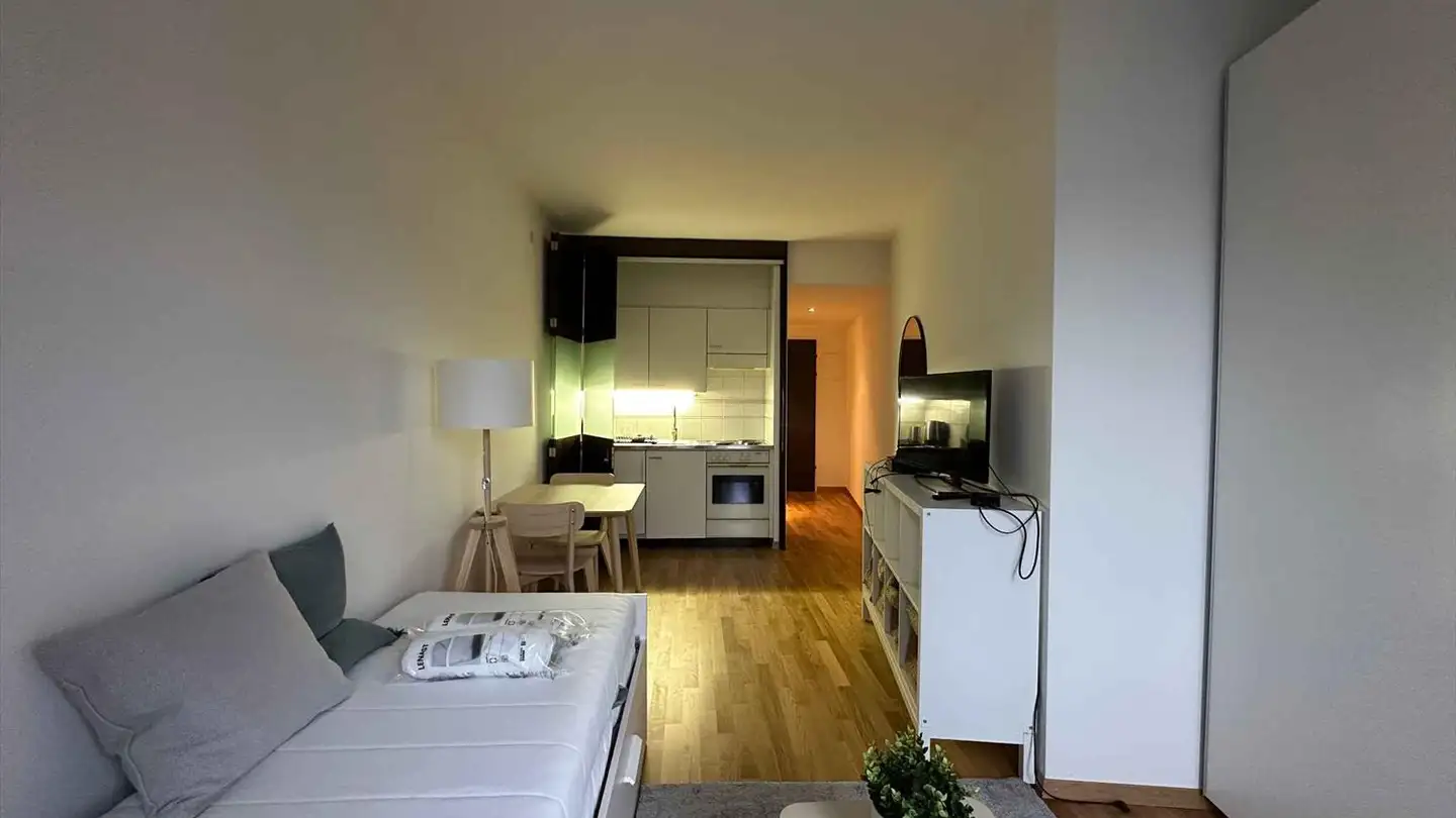 Appartamento ammobiliato in affitto - Rue Du Commerce 3, 1204 Genève - Foto 2