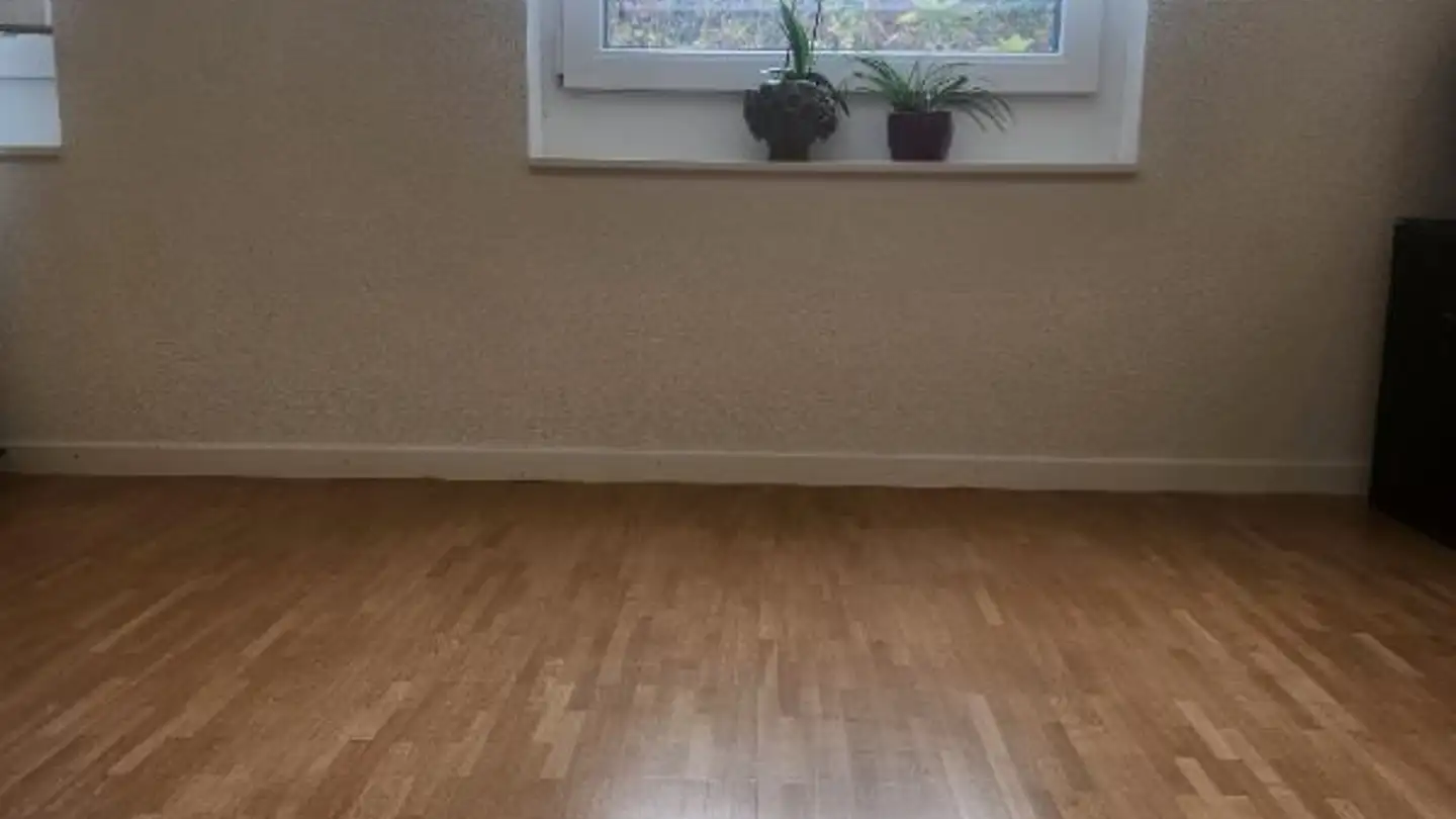 Negozio in affitto - Industriestrasse, 8304 Wallisellen