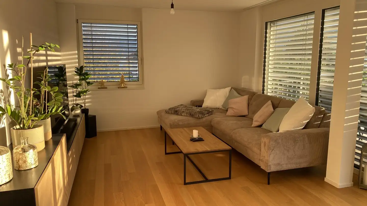 Appartamento in affitto - Schlössliweg 26, 5425 Schneisingen - Photo 3