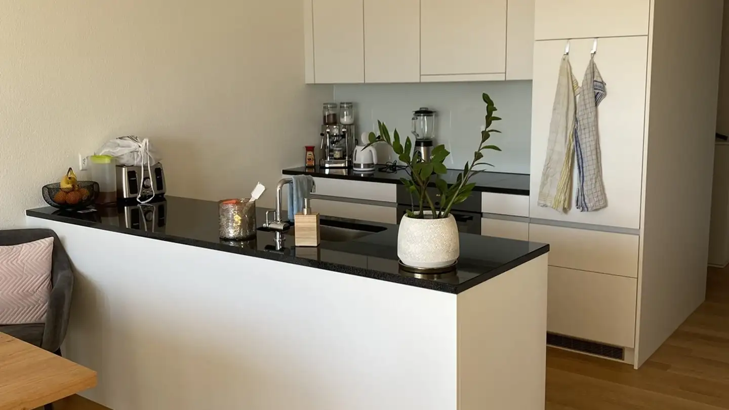 Appartamento in affitto - Schlössliweg 26, 5425 Schneisingen - Photo 4