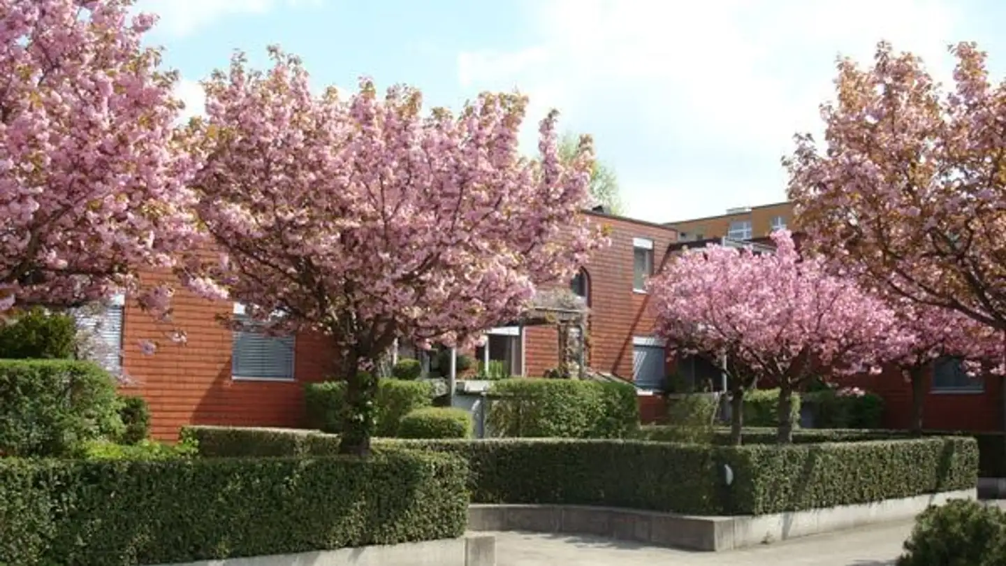 Appartamento in affitto - In Der Fadmatt, 8902 Urdorf - Foto 2