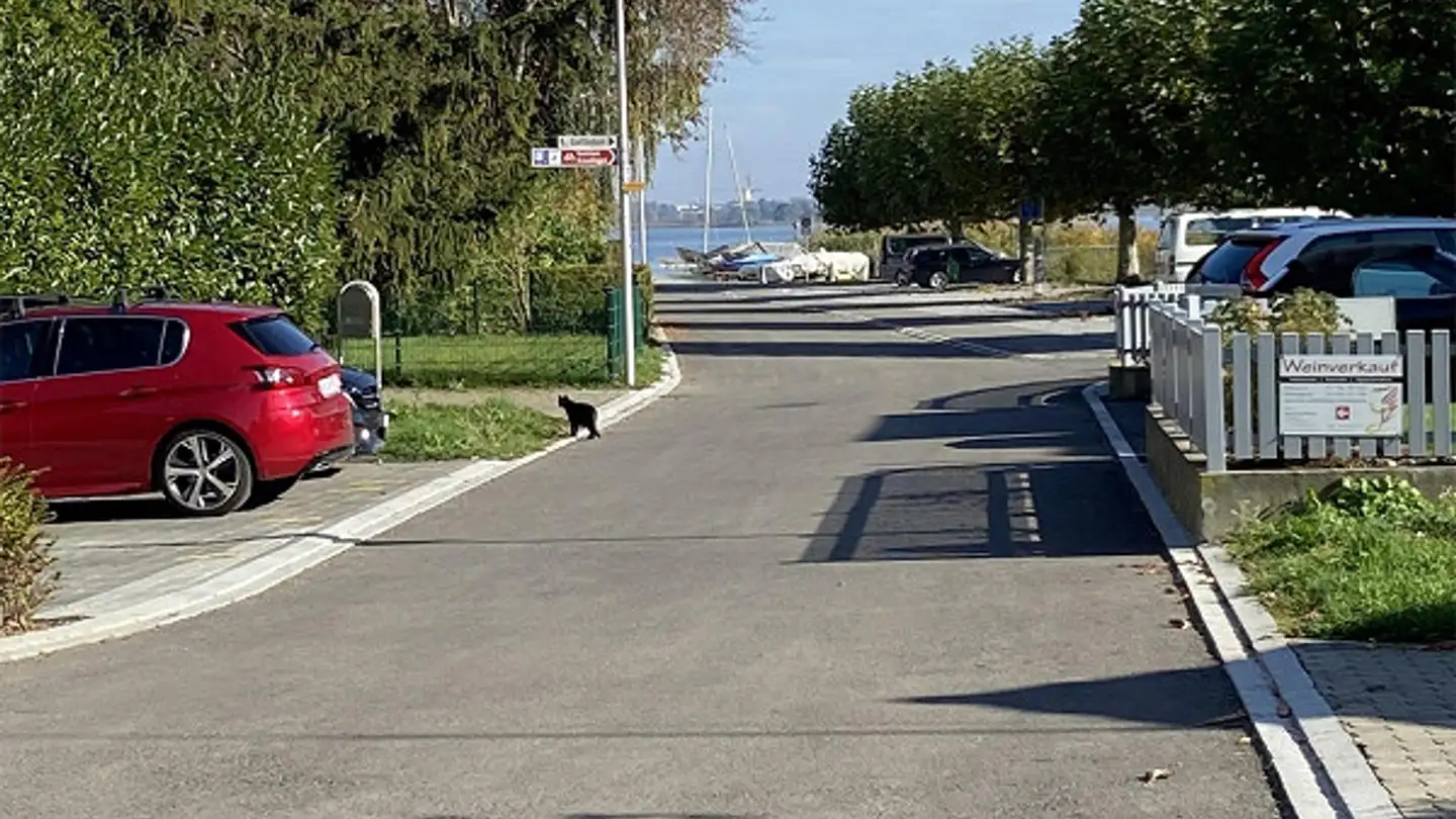 Appartamento in vendita - Schiffgasse 1, 8272 Ermatingen - Foto 4