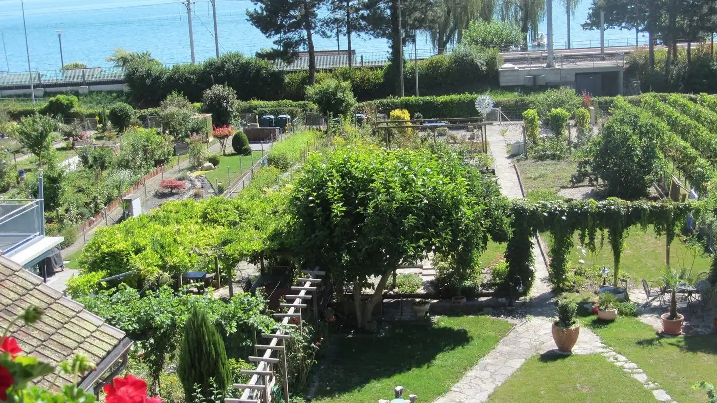 Edificio residenziale in vendita - Dorfgasse 12, 2513 Twann - Photo 4