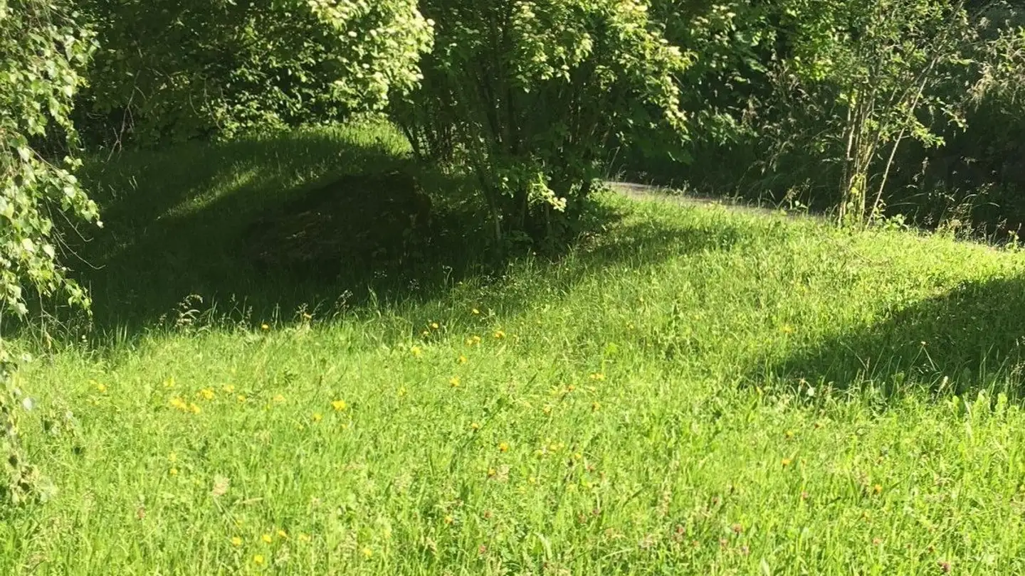 Constructible plot for sale - 9010 St. Gallen