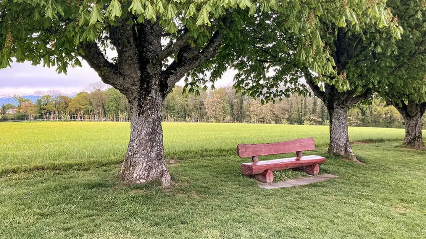 Einfamilienhaus kaufen - 1295 Mies