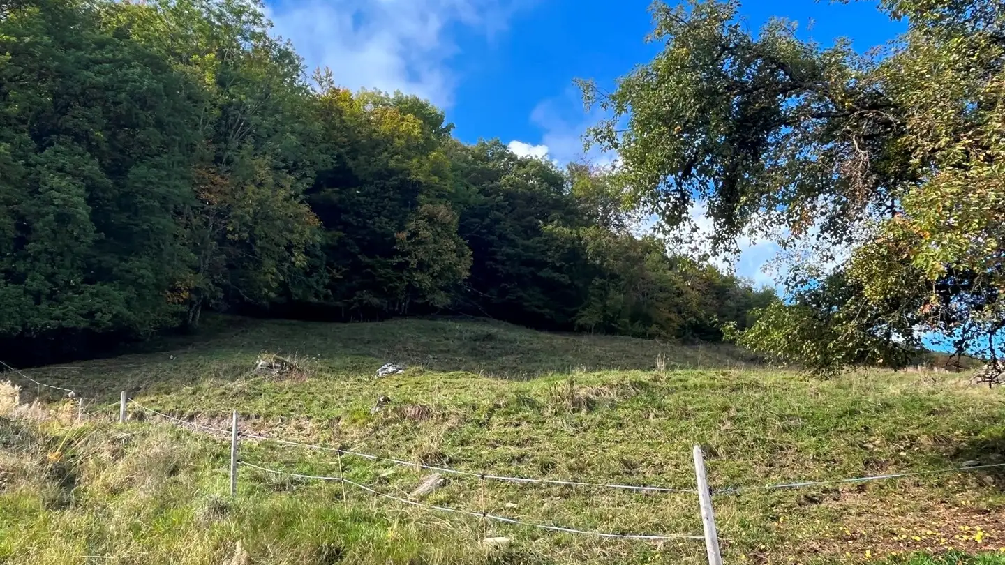 Constructible plot for sale - 1868 Collombey - Photo 2