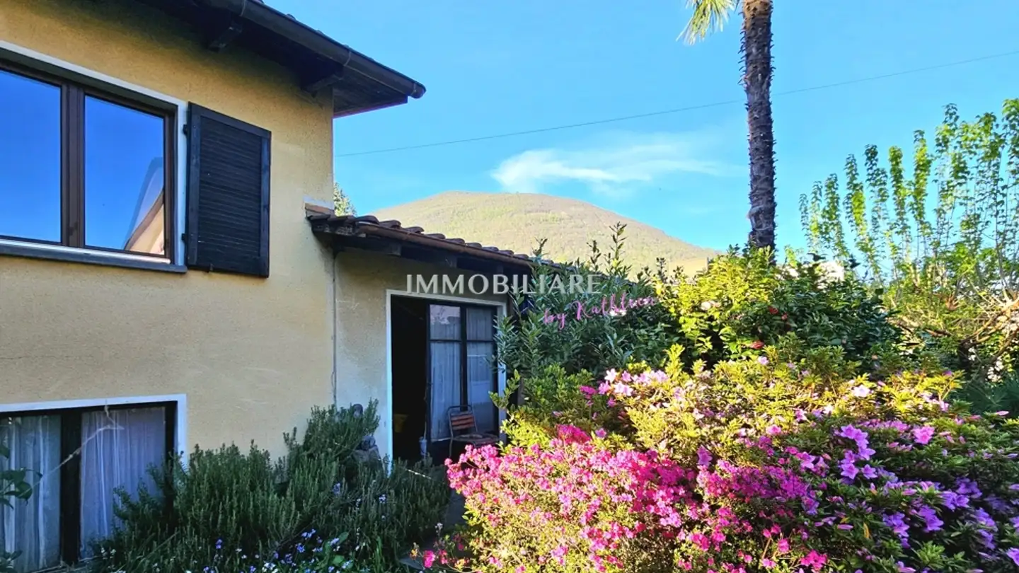 Einfamilienhaus kaufen - 6616 Losone
