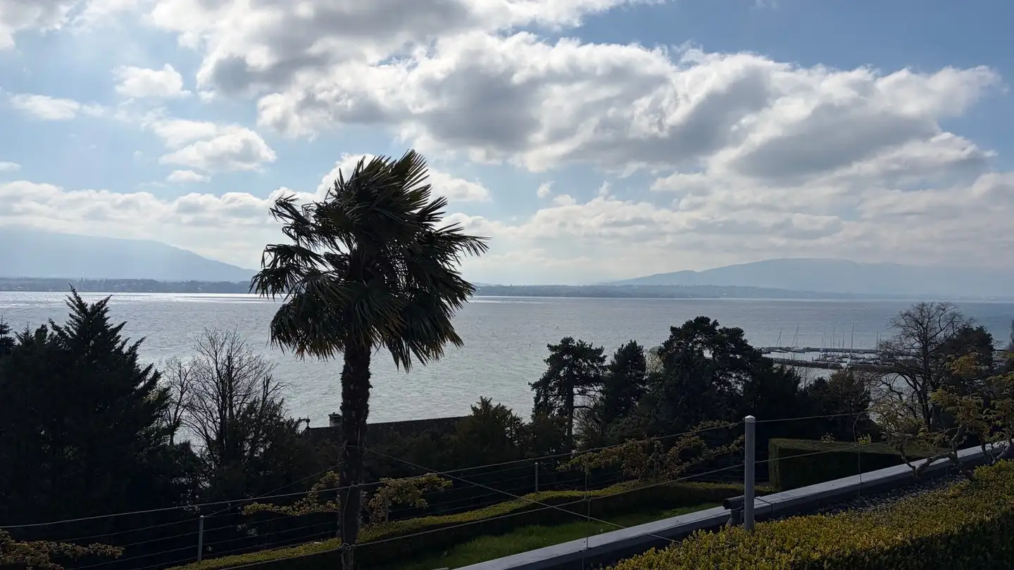 Wohnung kaufen - 1296 Coppet - Foto 2