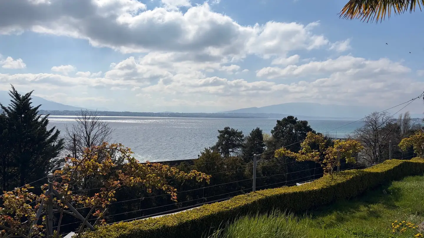 Wohnung kaufen - 1296 Coppet