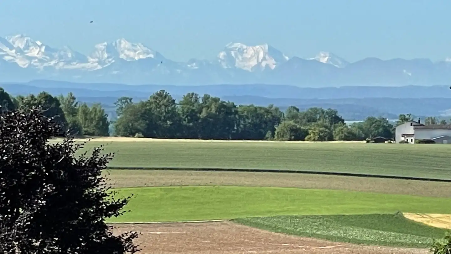 Wohnung mieten - Kirchstrasse 3, 4536 Attiswil