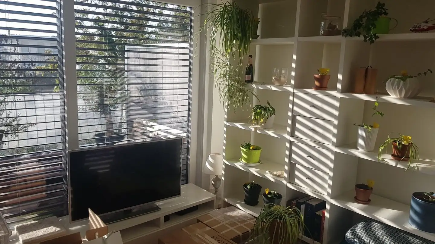 Attico in affitto - Chemin De La Traille 11, 1213 Onex