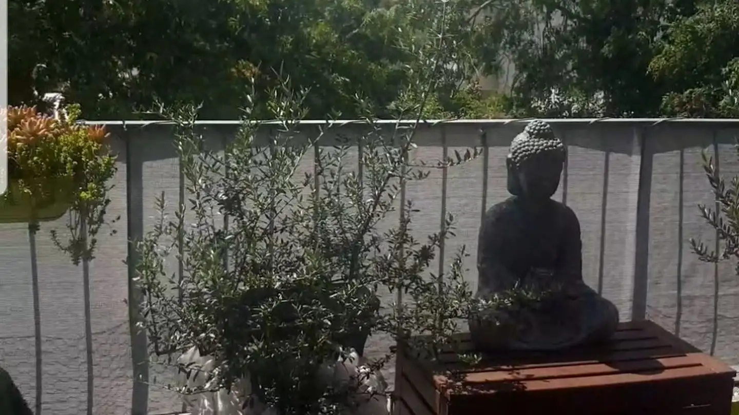 Attico in affitto - Chemin De La Traille 11, 1213 Onex - Photo 2