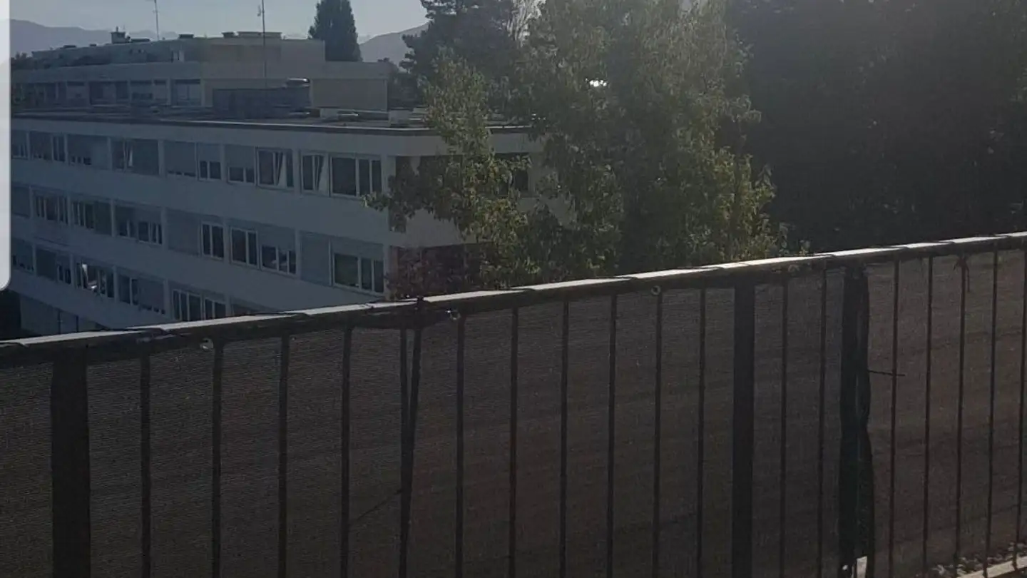 Attico in affitto - Chemin De La Traille 11, 1213 Onex - Photo 3