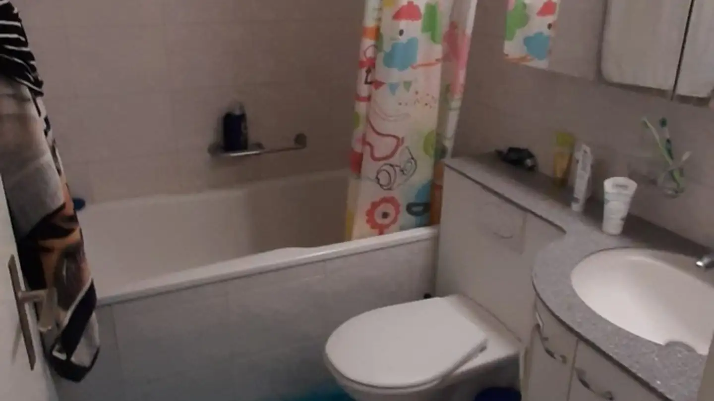 Stanza singola in affitto - 8047 Zürich - Foto 4