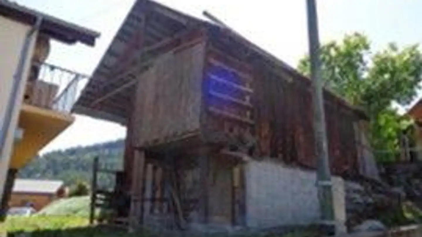 Agricultural business for sale - 1997 Haute-Nendaz