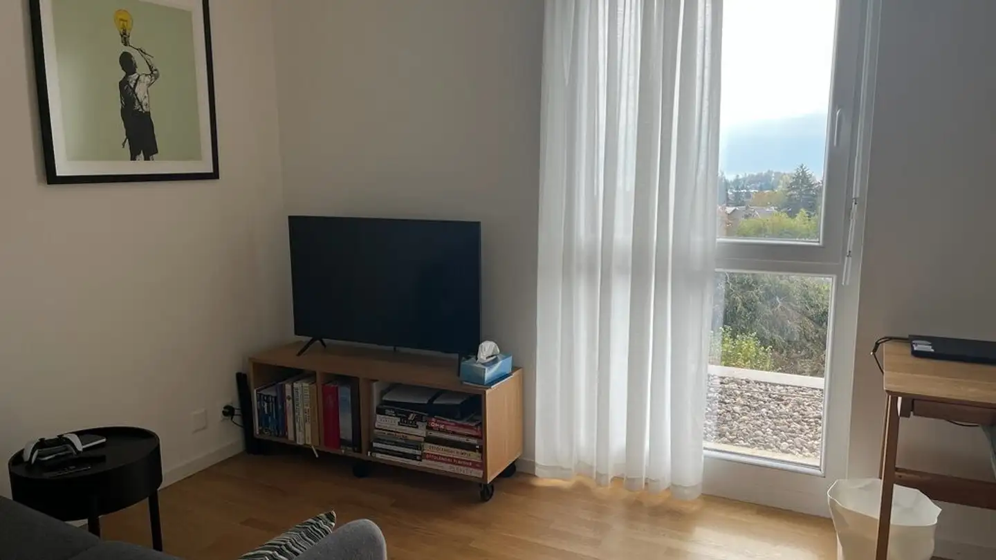 Attico in affitto - Avenue De La Sallaz 58, 1010 Lausanne - Foto 2