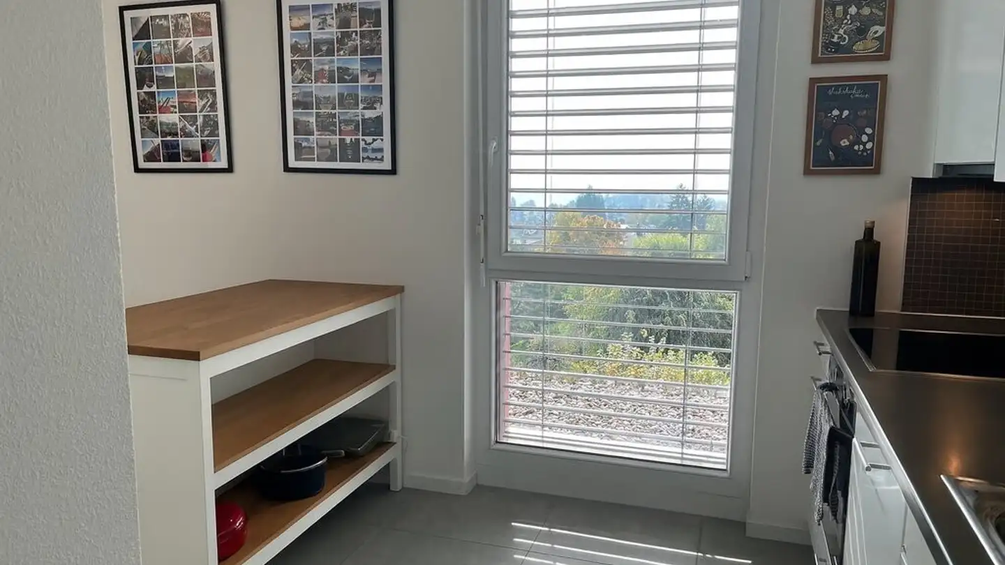 Attico in affitto - Avenue De La Sallaz 58, 1010 Lausanne - Foto 4