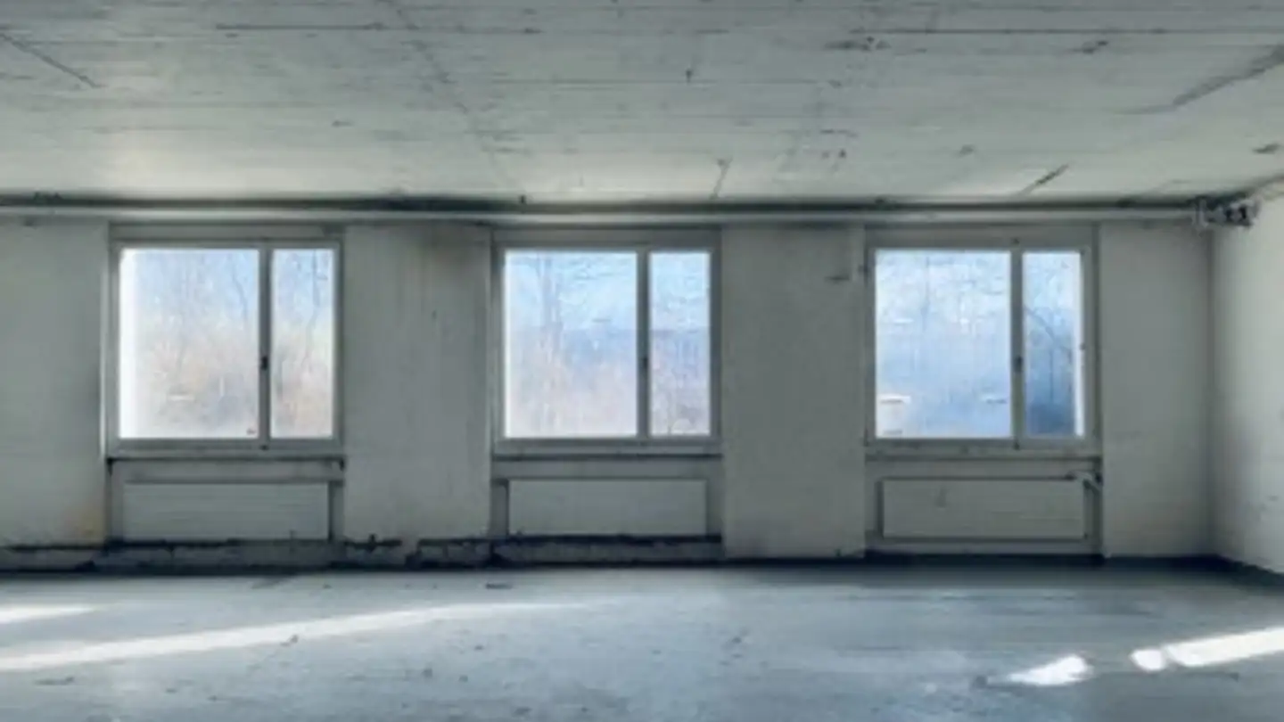 Industrieimmobilie mieten - Moosstrasse 13, 9030 Abtwil SG