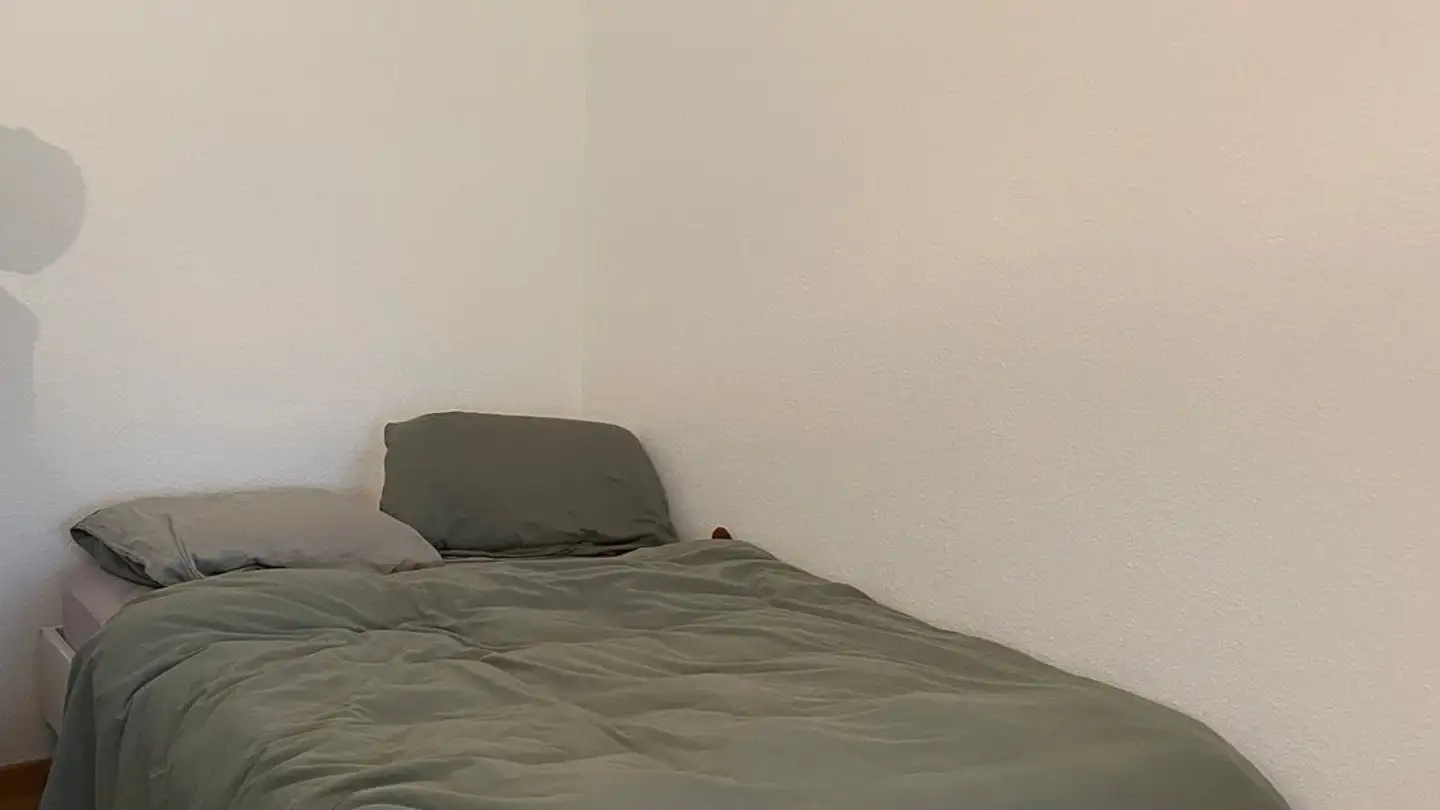 Appartamento in affitto - Route De Meyrin, 1217 Meyrin - Photo 3