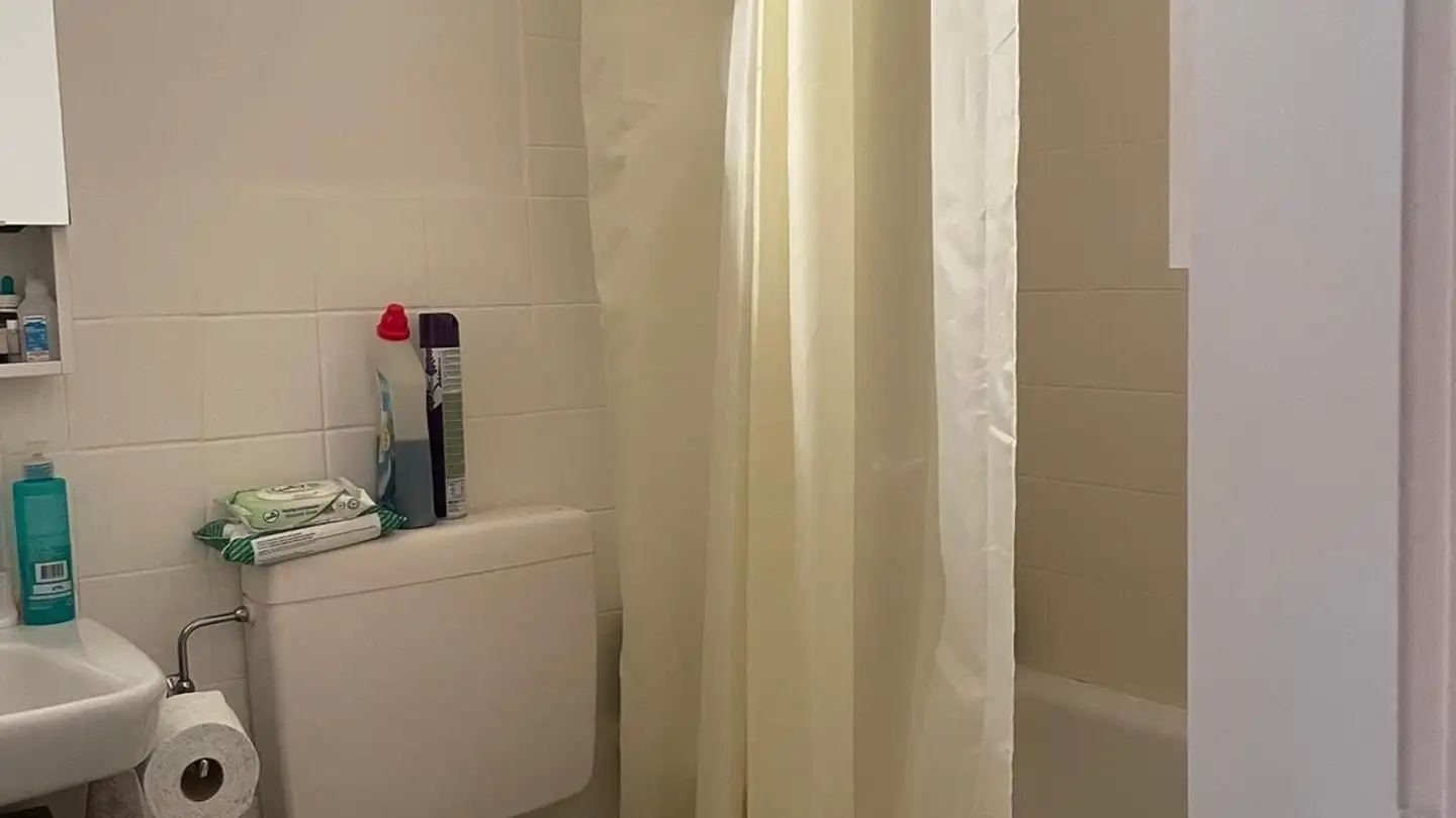 Appartamento in affitto - Route De Meyrin, 1217 Meyrin - Photo 4