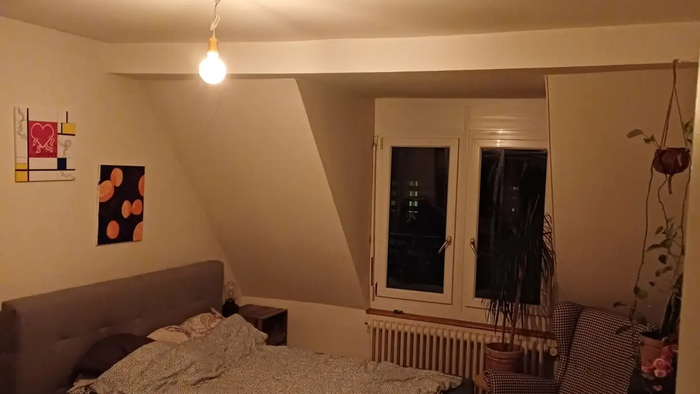 Stanza singola in affitto - 8050 Zürich