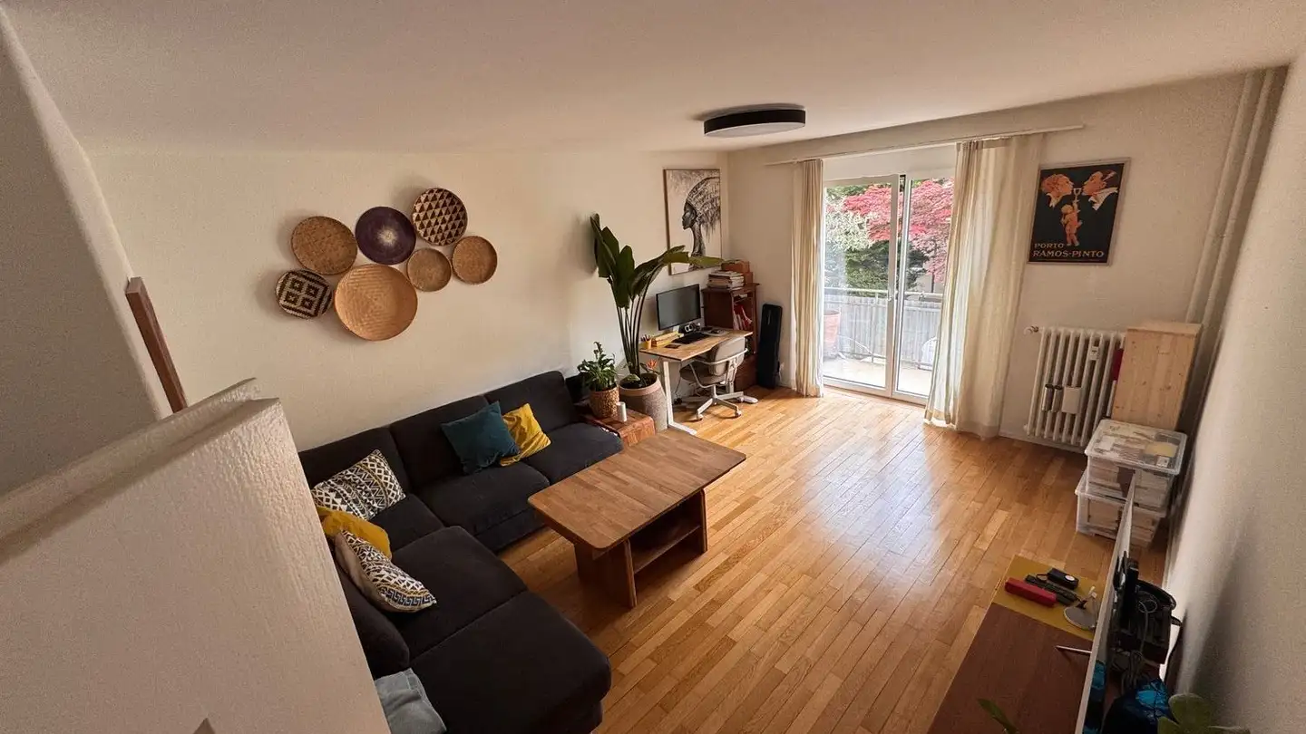Appartamento in affitto - Hanfrose, 8055 Zürich - Foto 3