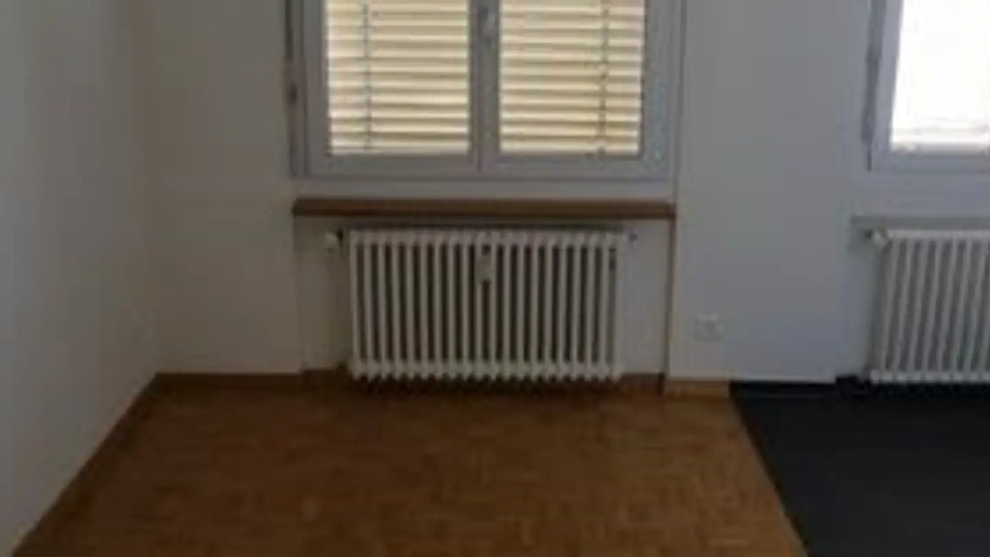 Appartamento in affitto - Greifenseestrasse 30, 8050 Zürich - Foto 4