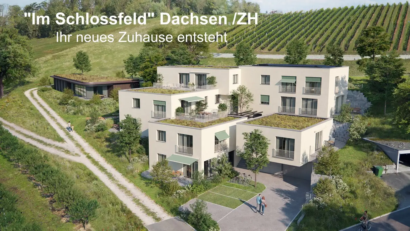 Wohnung kaufen - Bergstrasse 18, 8447 Dachsen