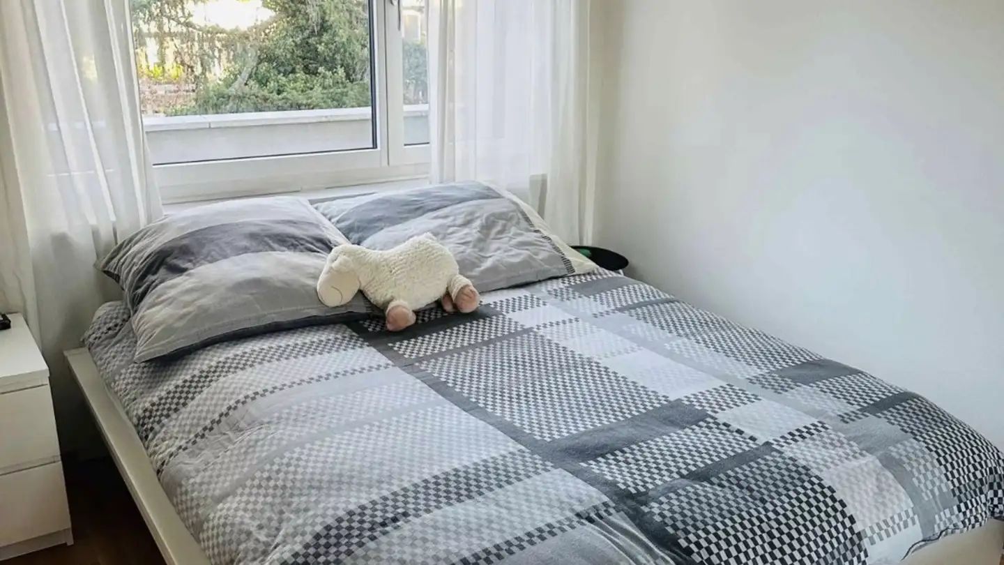 Apartment for rent - Nonnenweg, 4055 Basel - Photo 4