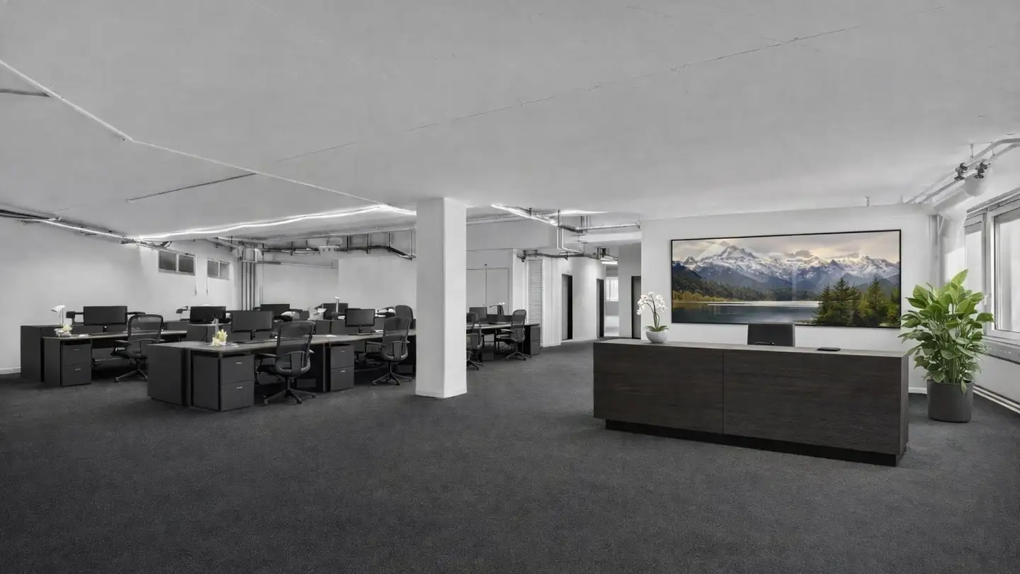 Commercial for rent - Spinnereistrasse 10, 9008 St. Gallen - Photo 2