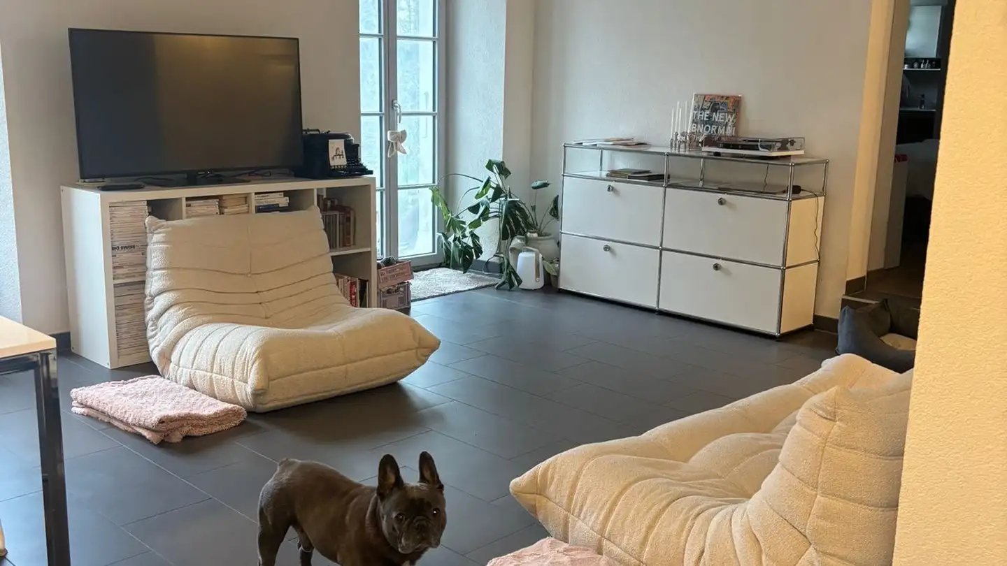 Appartement à louer - 1010 Lausanne