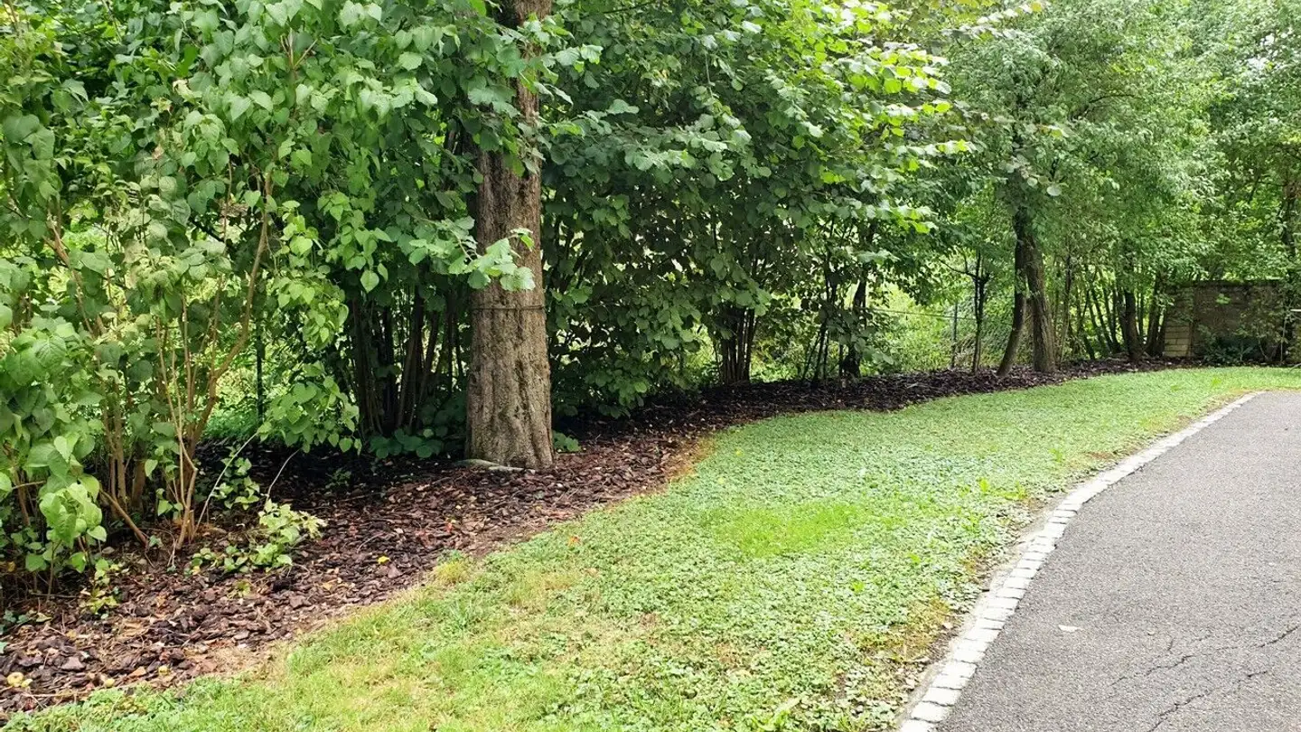 Appartamento in affitto - 2800 Delémont - Foto 2