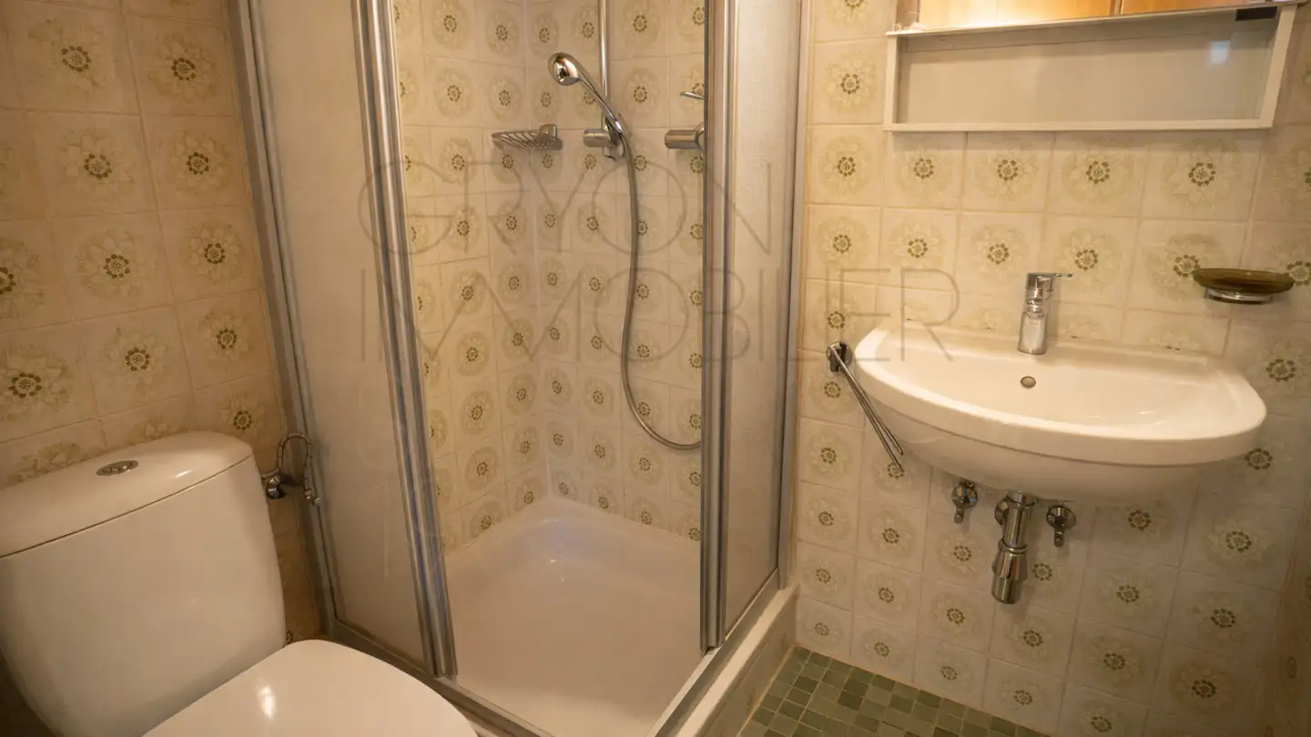 Appartamento in vendita - 1882 Gryon - Foto 3