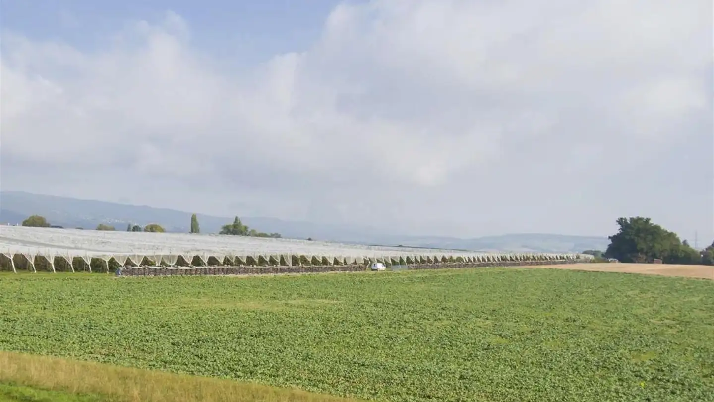 Wohnung kaufen - 1277 Borex