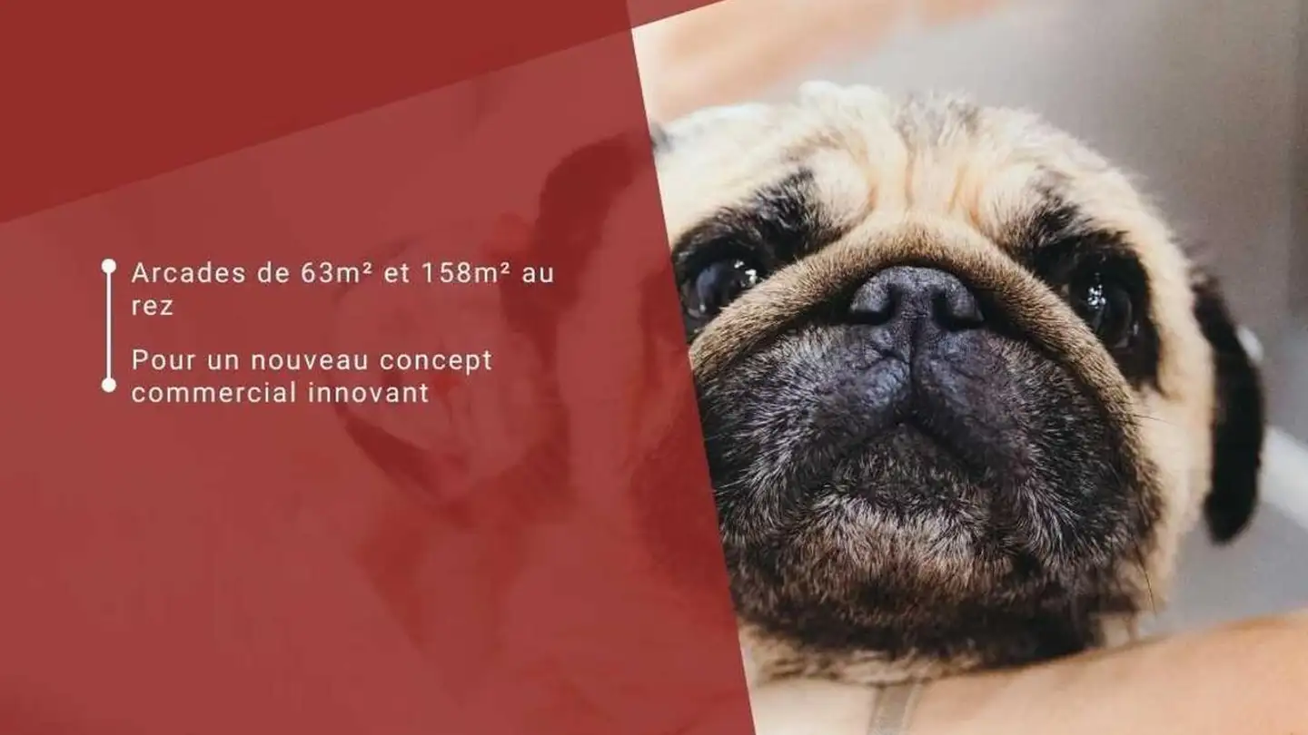 Geschäft mieten - Rue de l'Avenir, 2800 Delémont - Foto 3