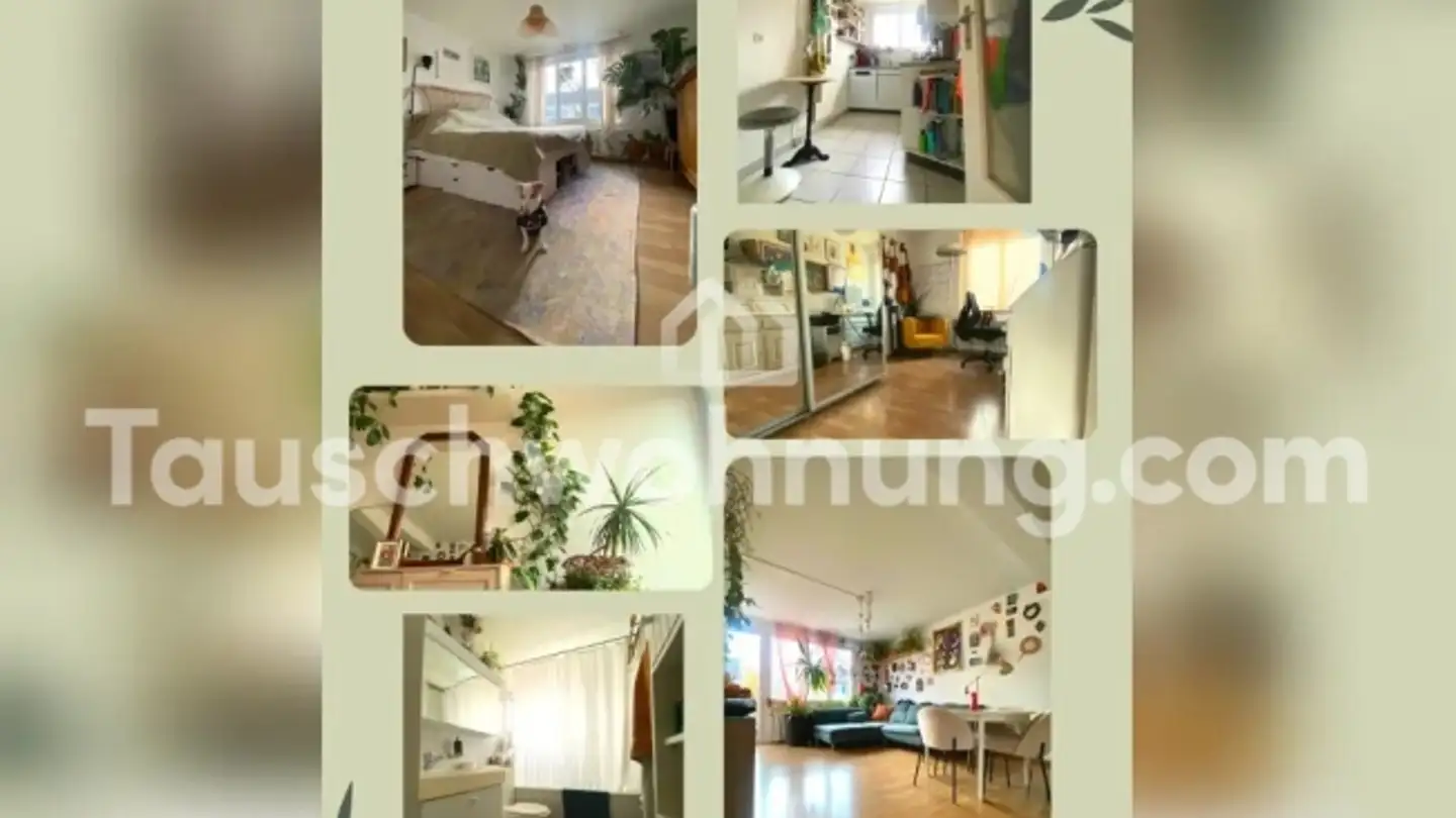 Wohnung mieten - 8055 Zürich