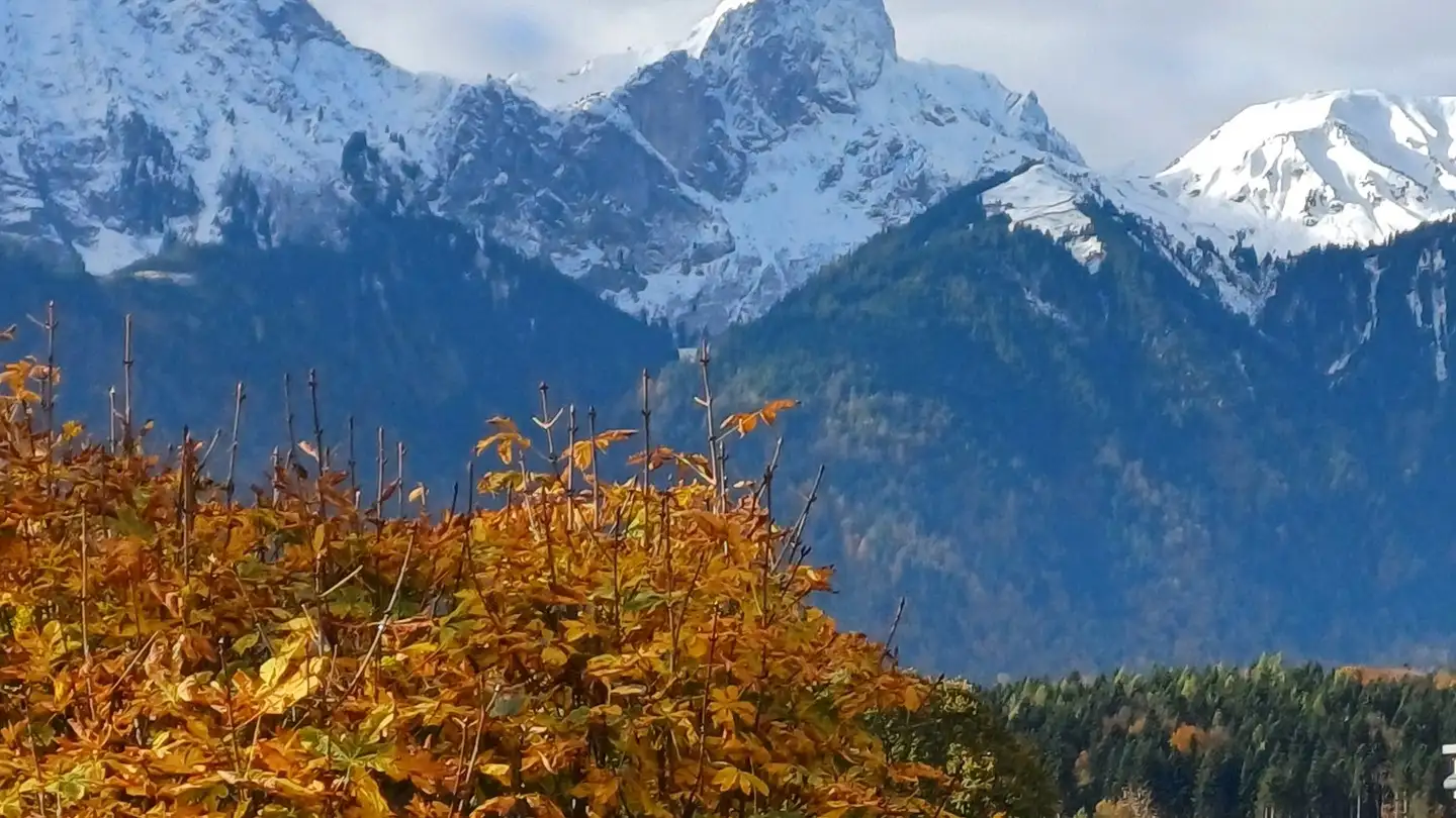 Attico in vendita - Neufeldstrasse 12a, 3604 Thun - Photo 2