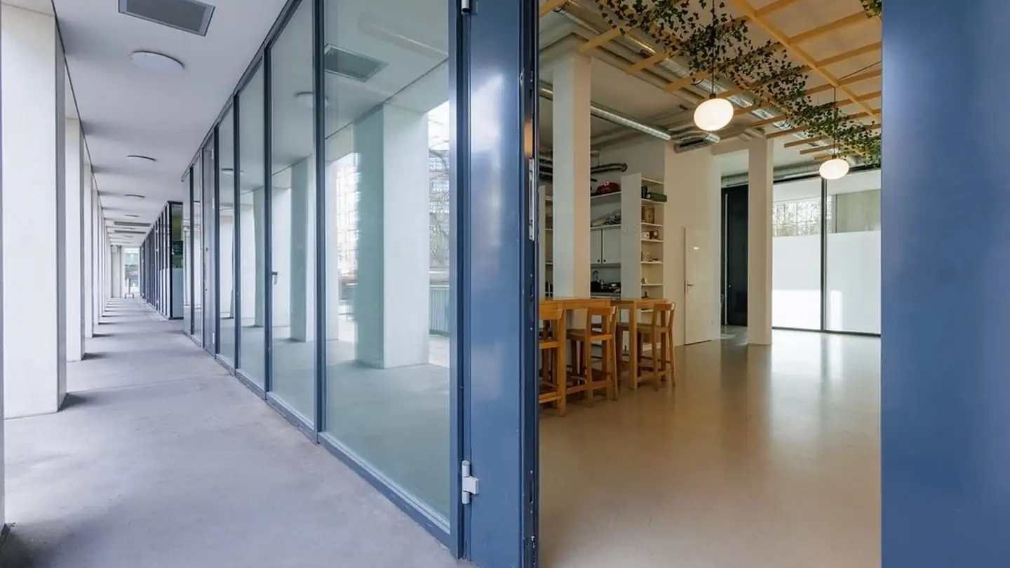 Commerciale in affitto - Emil-Oprecht-Strasse 3, 8050 Zürich - Foto 2