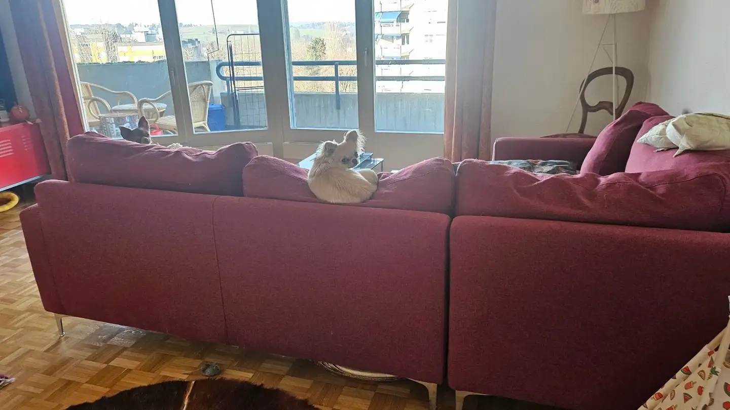 Wohnung mieten - Impasse Du Castel 11, 1700 Fribourg