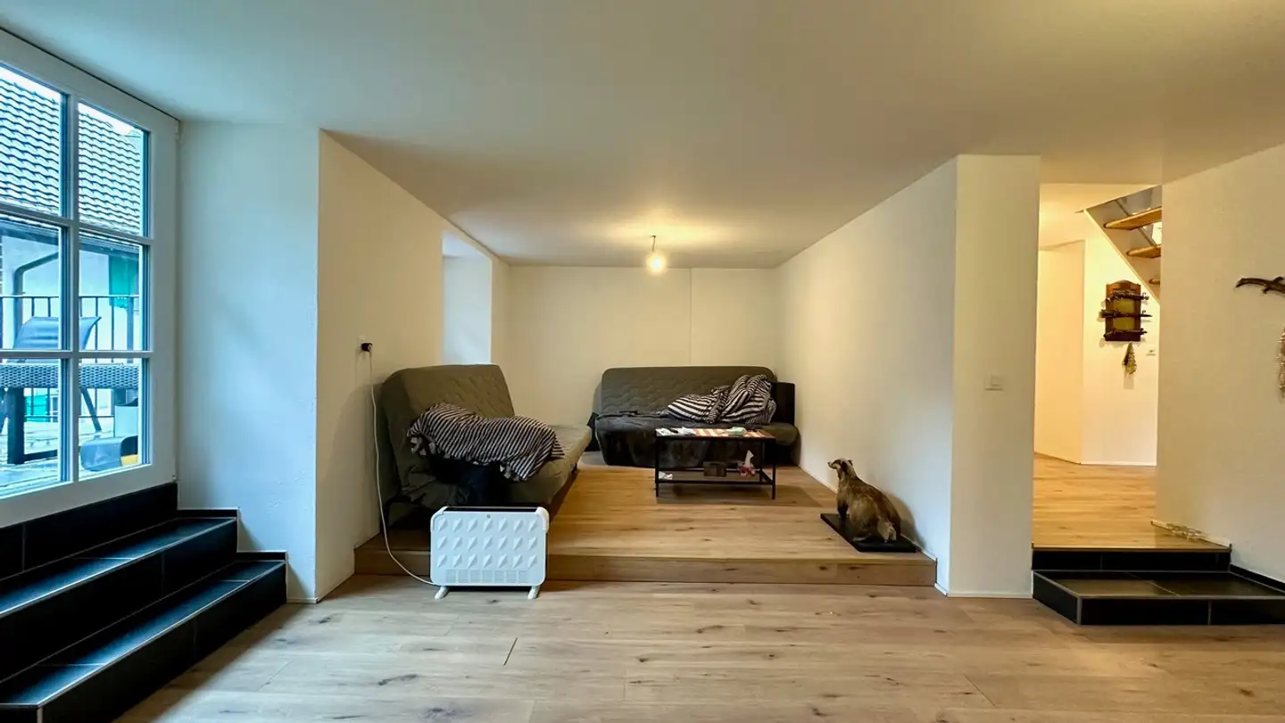 Duplex for rent - Frenkenstrasse, 4437 Waldenburg - Photo 3