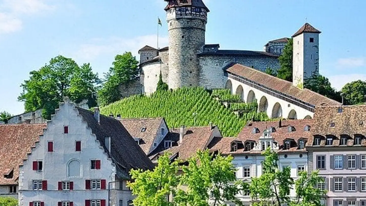 Einfamilienhaus kaufen - 8200 Schaffhausen