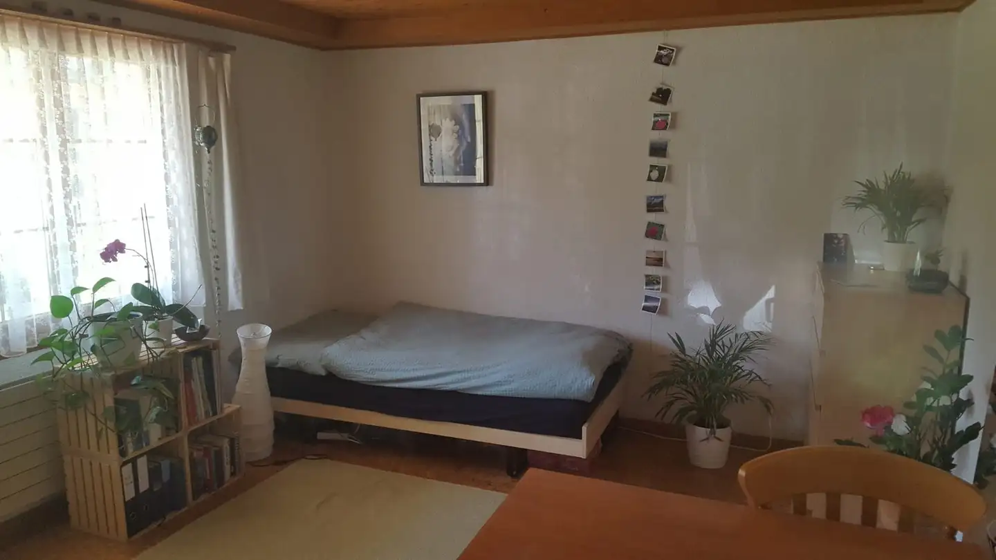 Appartamento in affitto - Eggstrasse 5, 3770 Zweisimmen - Foto 4