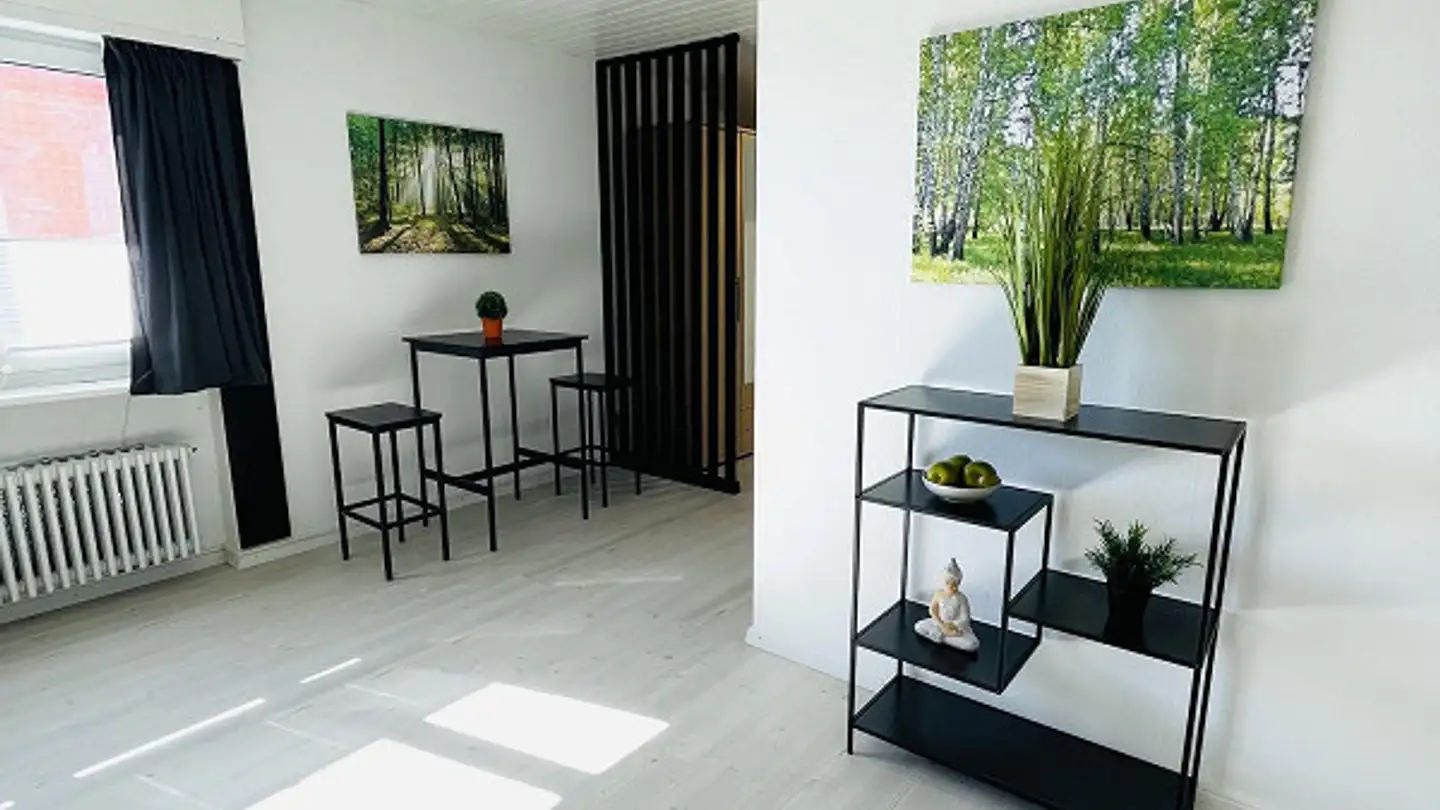 Appartamento in affitto - Stofflerstrasse, 8240 Thayngen - Foto 3