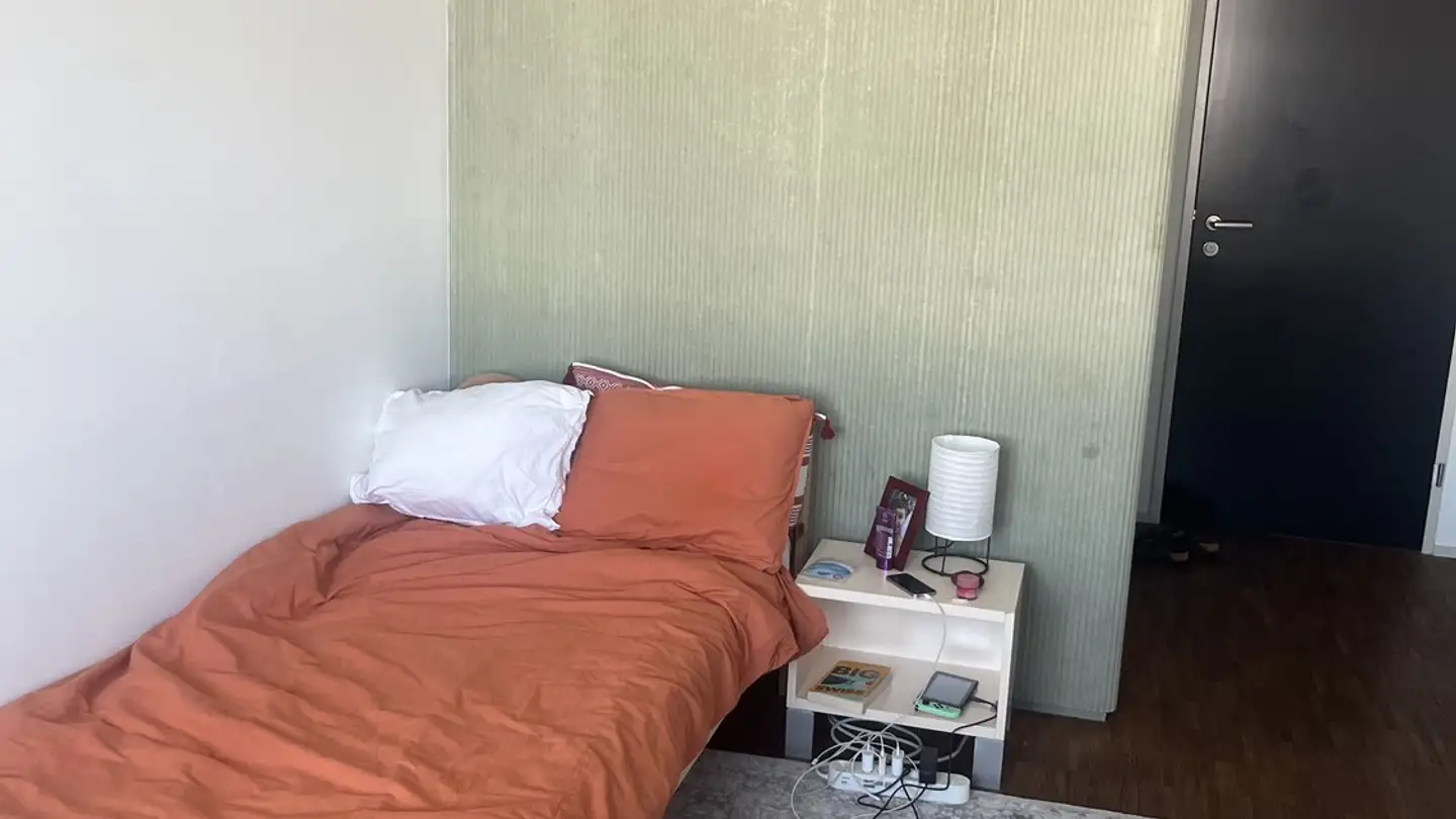 Chambre à louer - Cäsar-Ritz-Strasse 7, 8046 Zürich