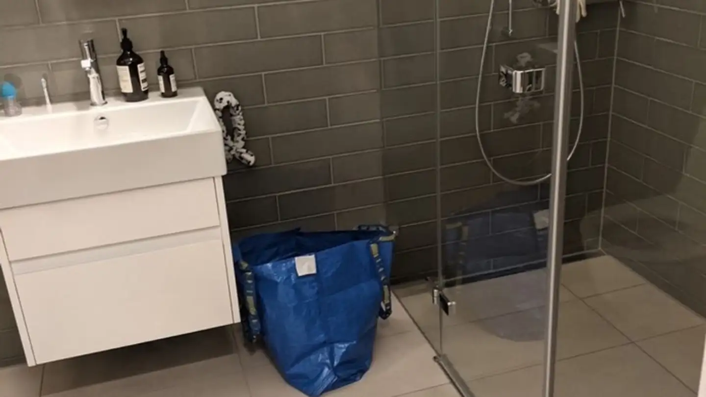 Appartement à louer - 8050 Zürich - Photo 4